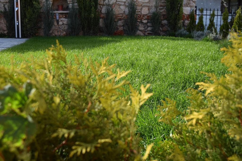 בלצ'יק Boutique Villa Rosa Dei Venti מראה חיצוני תמונה
